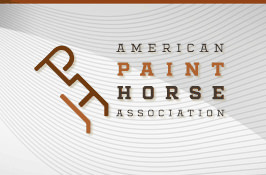 American Paint Horse Association